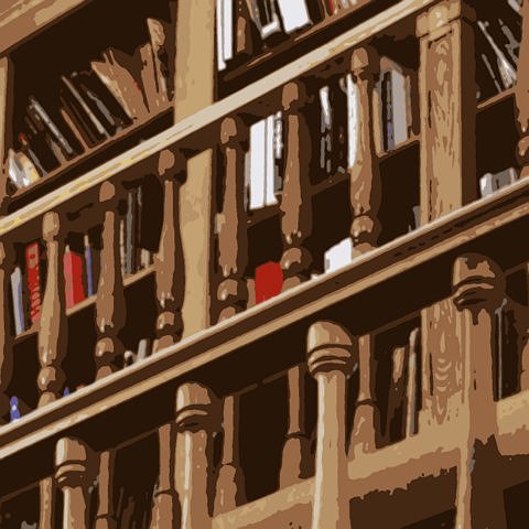 Что скрывают книжные полки
