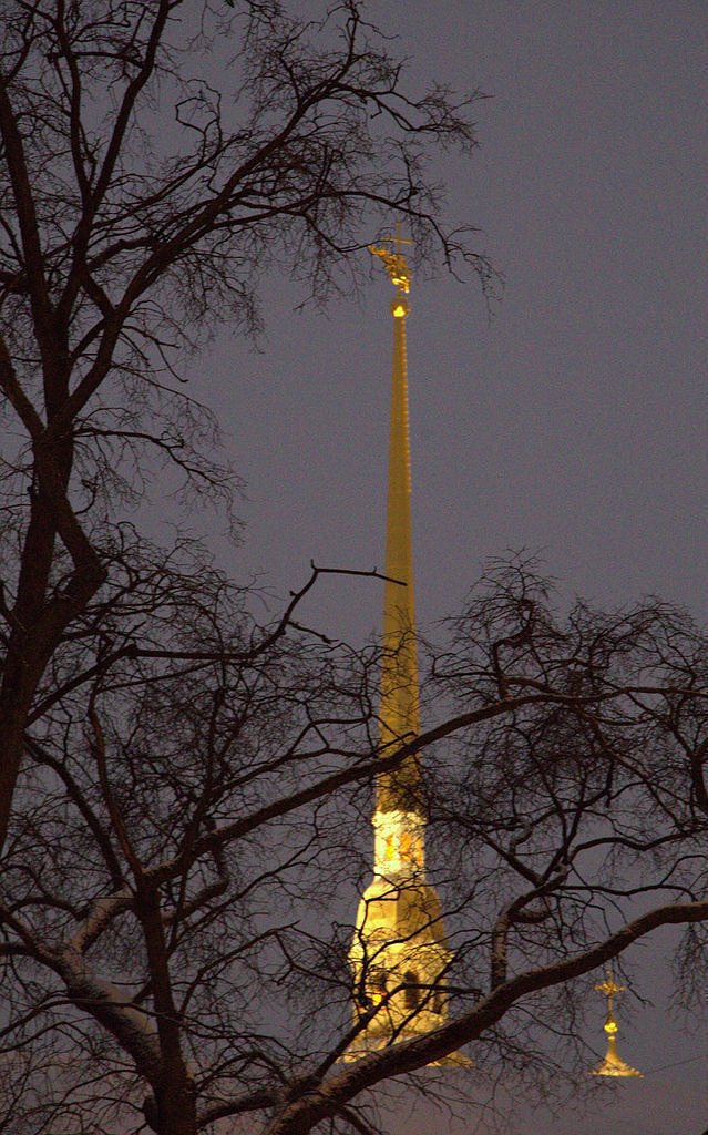 Фотографы из высшего общества