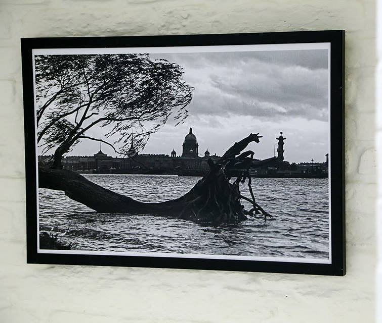 Фотография, посвященная человеку